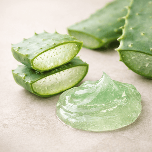 Fresh cactus extract gel used in Cactox V-Lifting Band for cooling and skin support