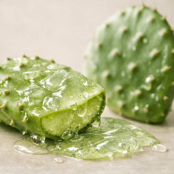 Cactus mucilage skincare ingredient showing translucent gel texture for cooling hydration and refreshed skin appearance