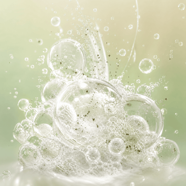 Fresh tea tree leaves with water droplets representing skin cleansing and balanced skin