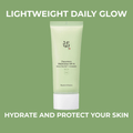 Dayscreen Moisturizer SPF 30