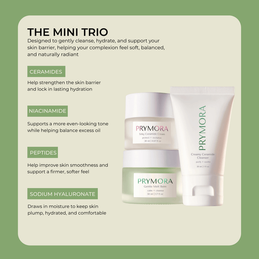 Key ingredients in mini skincare set including ceramides and niacinamide