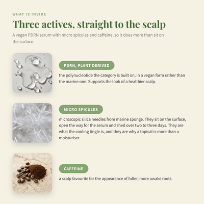 What is inside the PDRN Hair Density Brush Serum, PDRN, micro spicules and caffeine