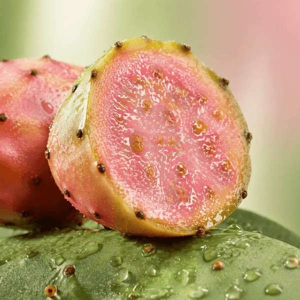 Prickly pear fruit with dewy texture representing gentle enzymatic exfoliation