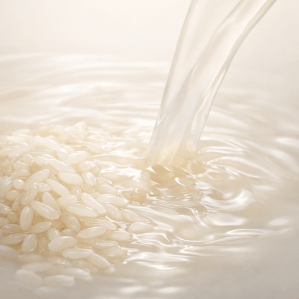 Rice extract ingredient showing hydration and natural glow support for smooth skin