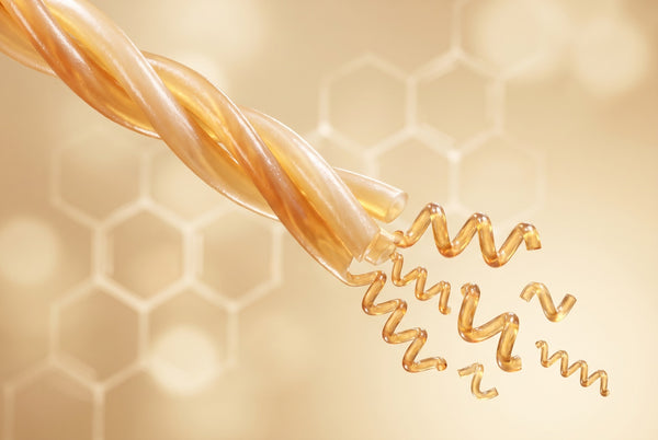 Hydrolyzed Collagen