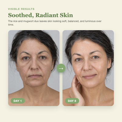 Olivine Skin Flooding Duo Rice Toner and Mugwort Essence Day 1 to Day 8 visible results